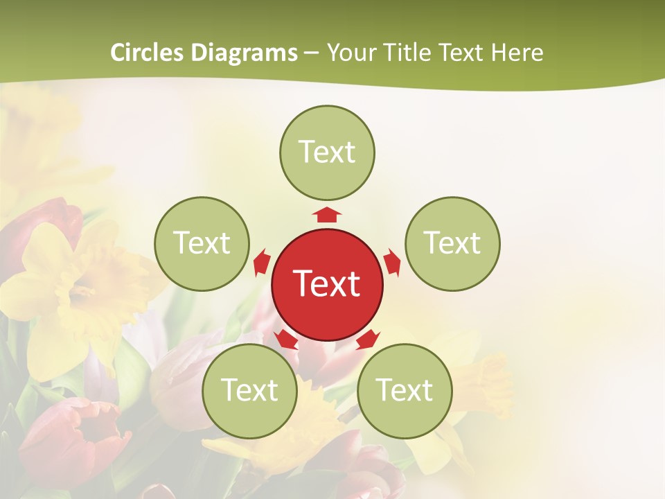 Plant Photography Studio Shot PowerPoint Template