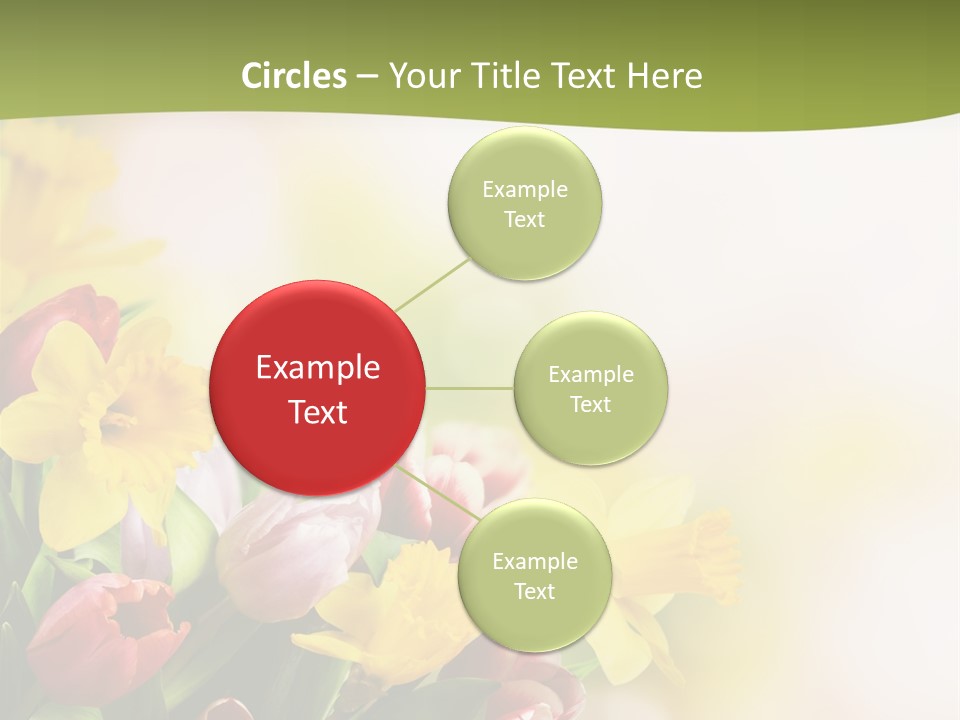 Plant Photography Studio Shot PowerPoint Template