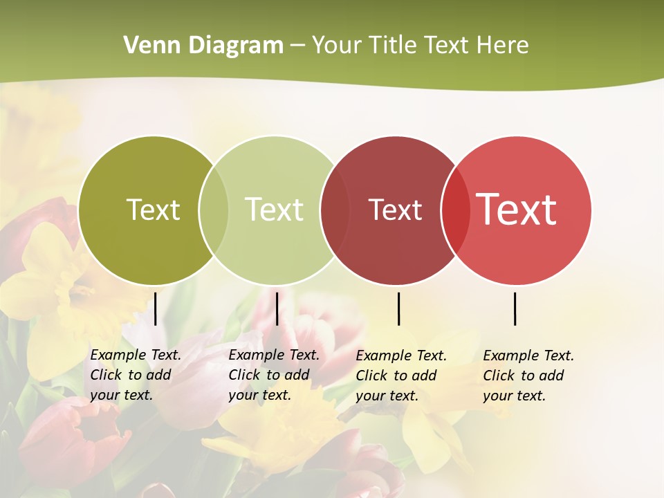 Plant Photography Studio Shot PowerPoint Template