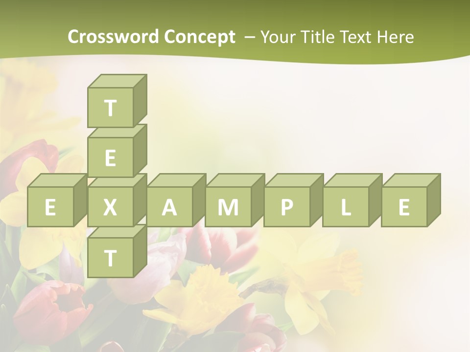 Plant Photography Studio Shot PowerPoint Template