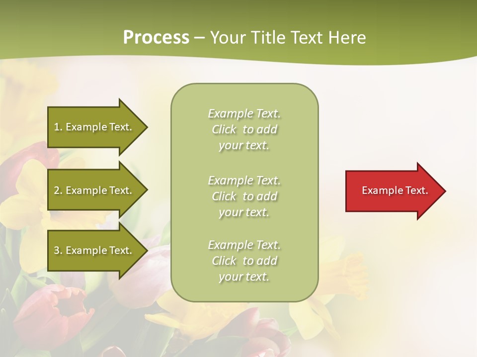 Plant Photography Studio Shot PowerPoint Template