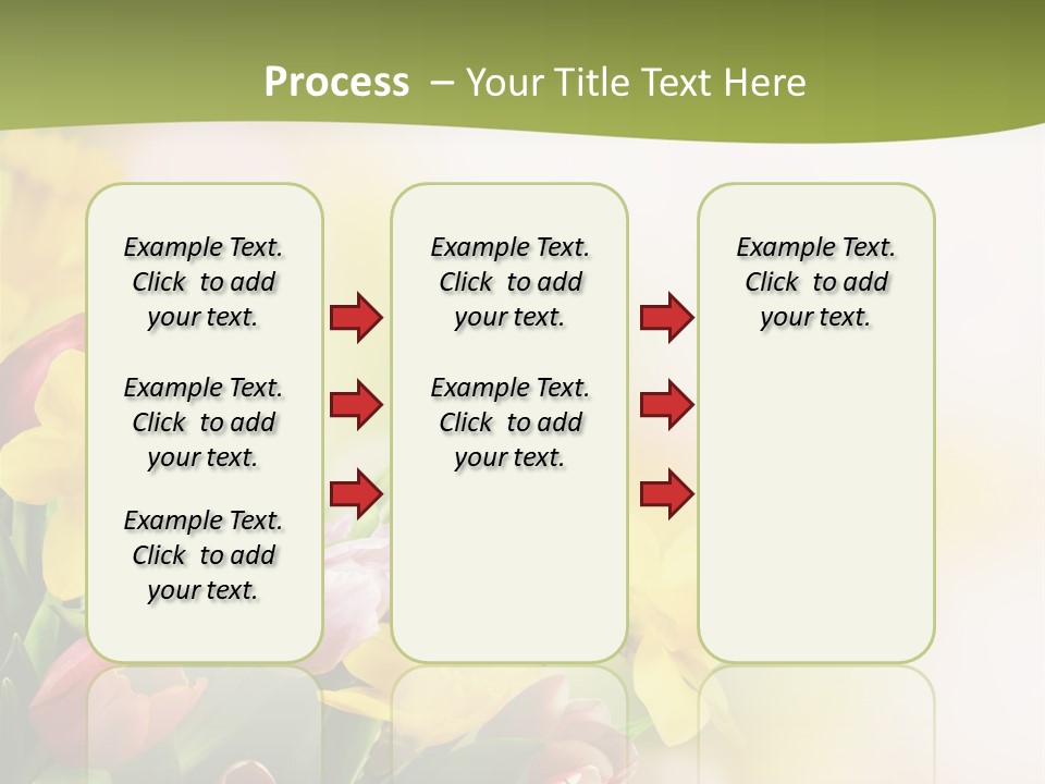 Plant Photography Studio Shot PowerPoint Template