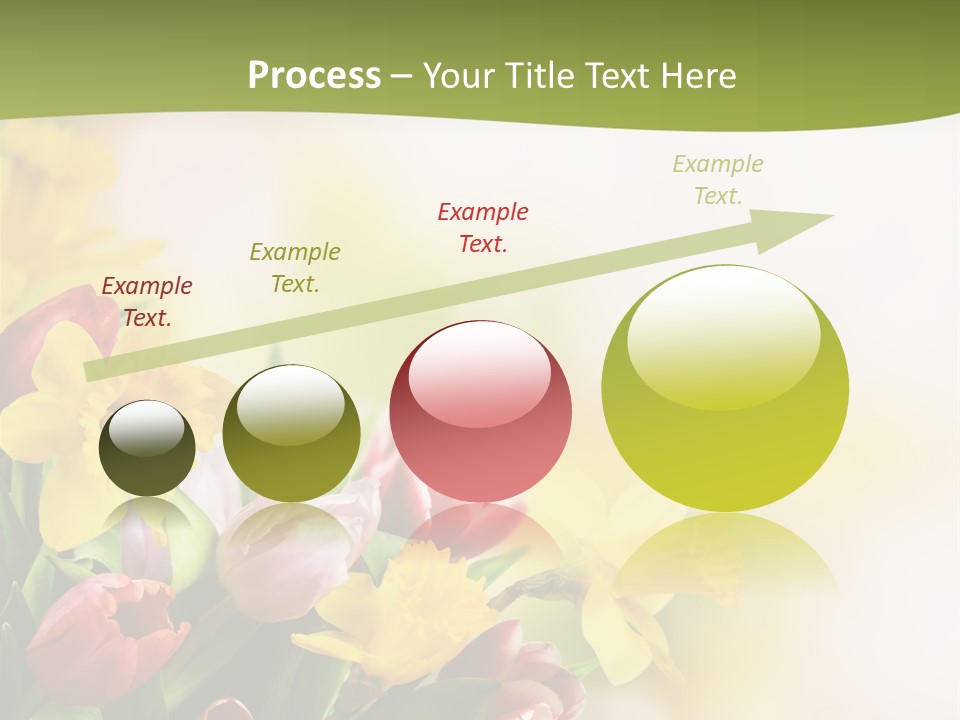 Plant Photography Studio Shot PowerPoint Template