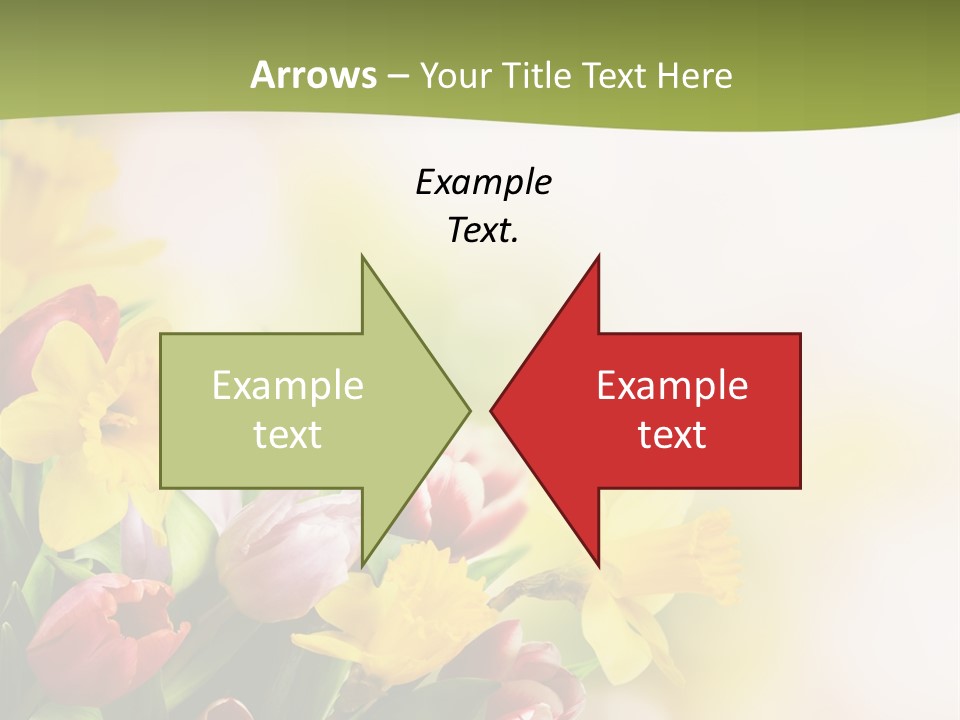 Plant Photography Studio Shot PowerPoint Template