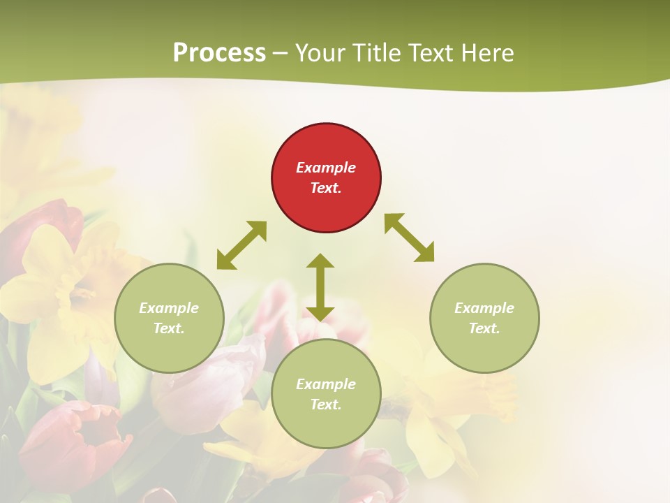 Plant Photography Studio Shot PowerPoint Template