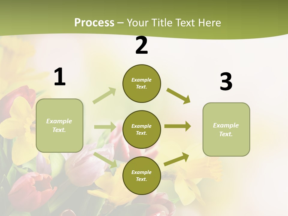 Plant Photography Studio Shot PowerPoint Template