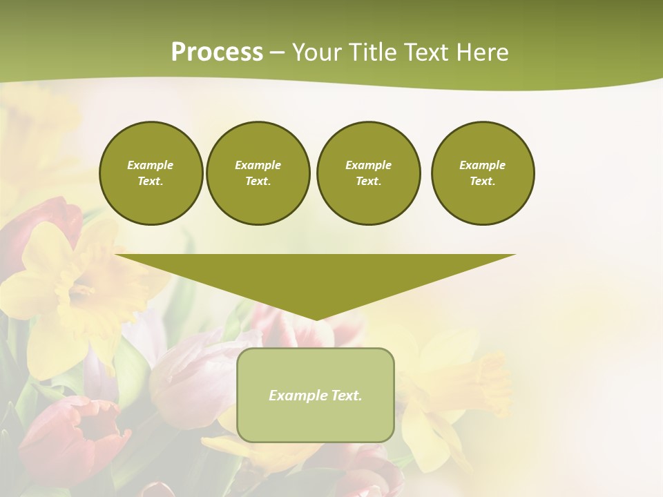 Plant Photography Studio Shot PowerPoint Template