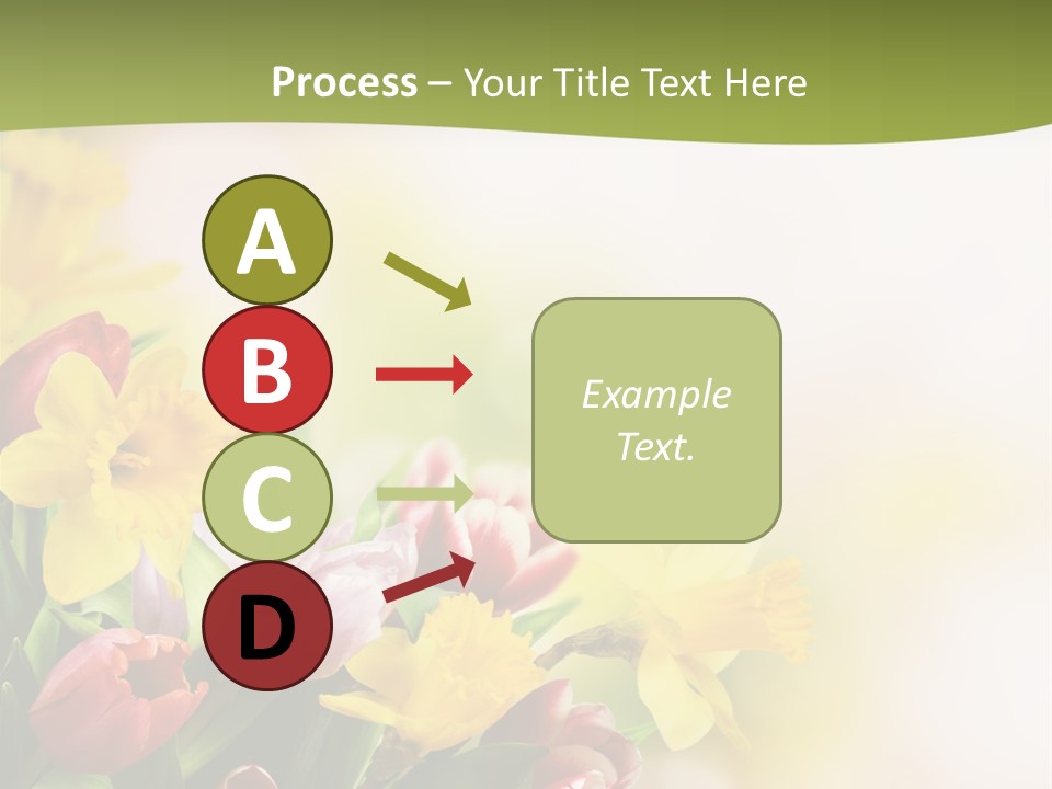 Plant Photography Studio Shot PowerPoint Template