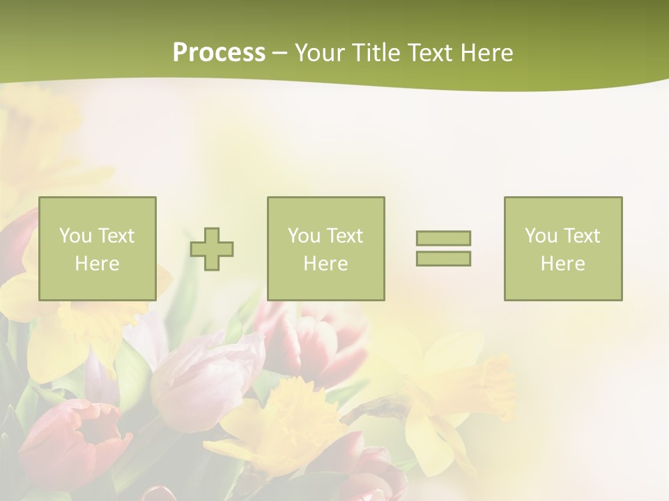 Plant Photography Studio Shot PowerPoint Template