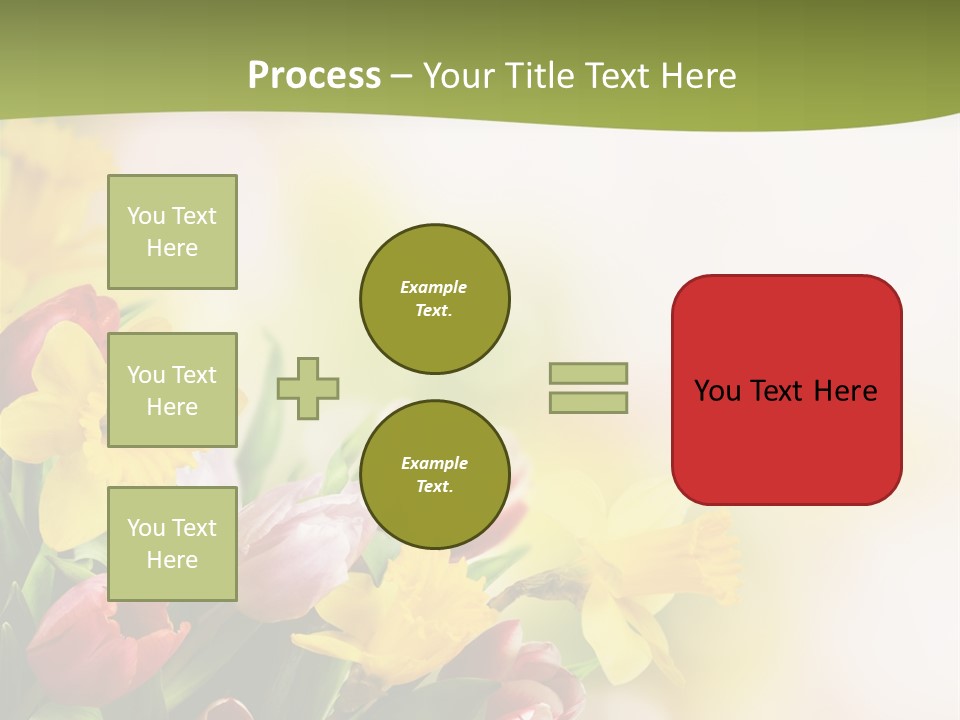 Plant Photography Studio Shot PowerPoint Template