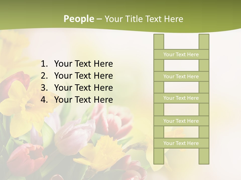 Plant Photography Studio Shot PowerPoint Template