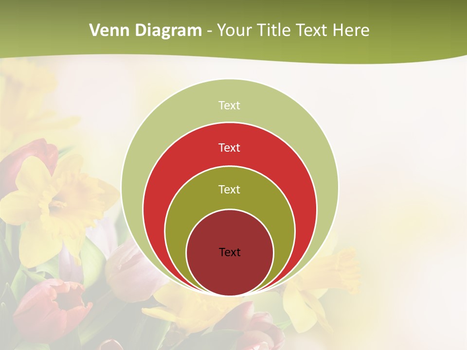 Plant Photography Studio Shot PowerPoint Template