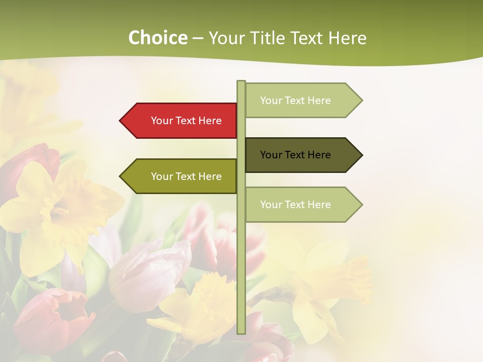 Plant Photography Studio Shot PowerPoint Template