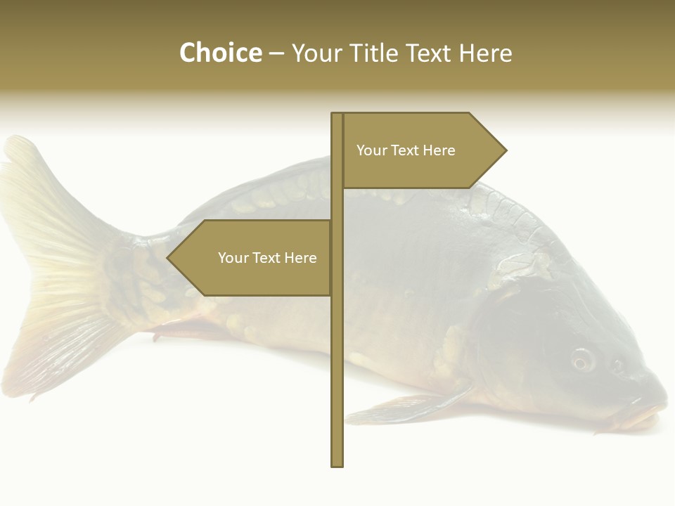 Tasty Lively Festivity PowerPoint Template