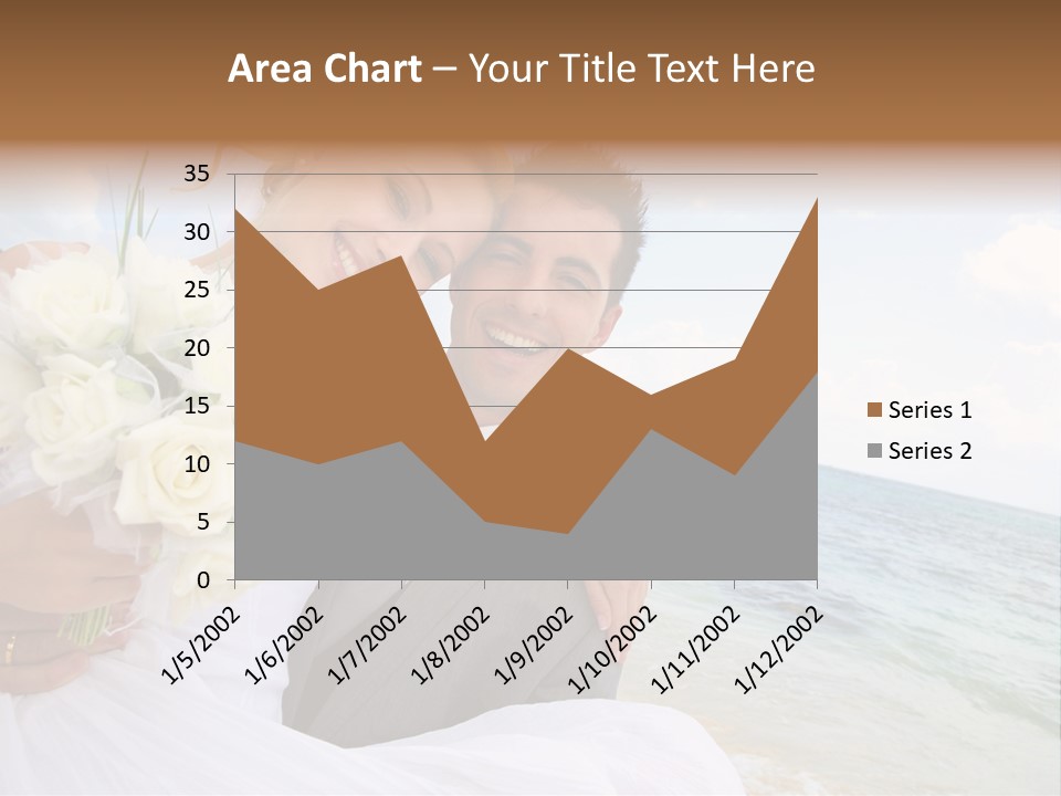 Bridal Dress Celebration Happy PowerPoint Template