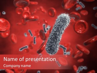 Bacterial Contagious Cell PowerPoint Template