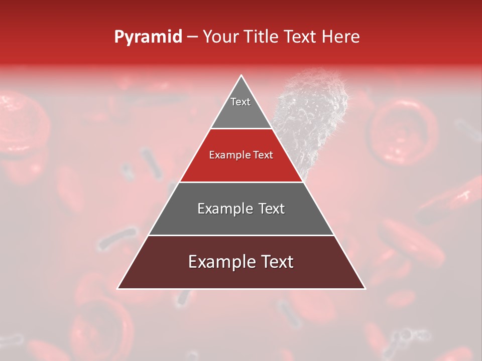 Bacterial Contagious Cell PowerPoint Template