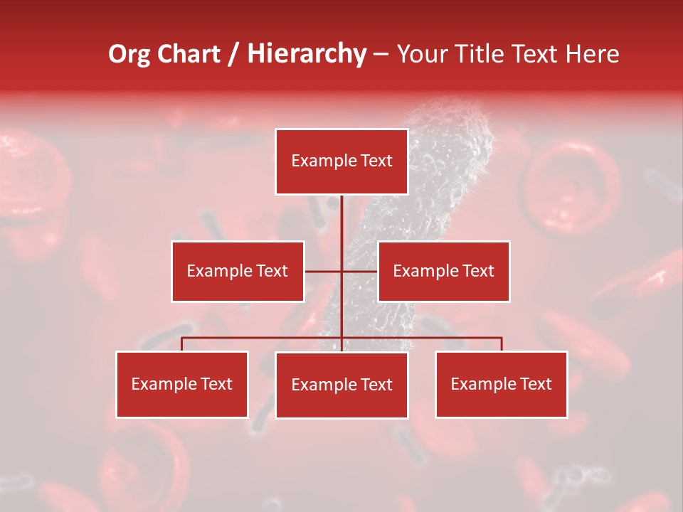 Bacterial Contagious Cell PowerPoint Template