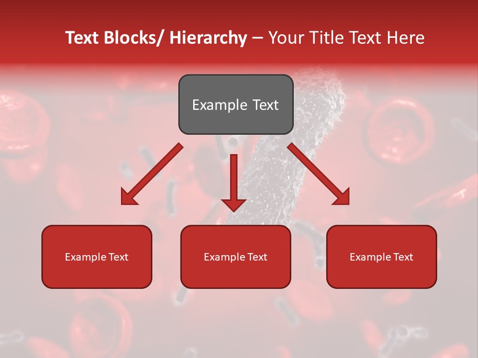 Bacterial Contagious Cell PowerPoint Template