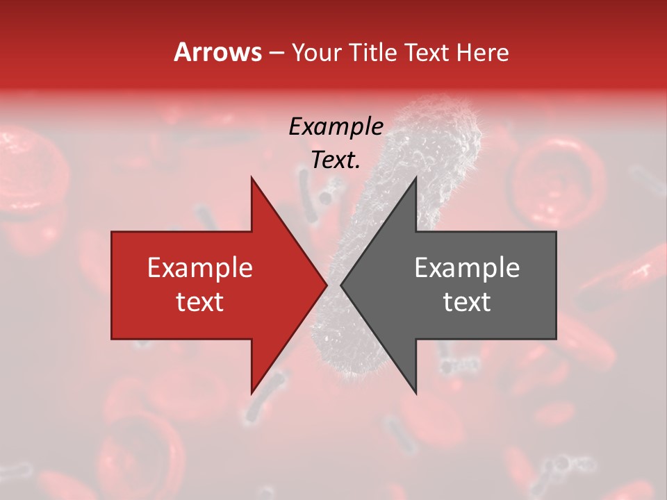 Bacterial Contagious Cell PowerPoint Template