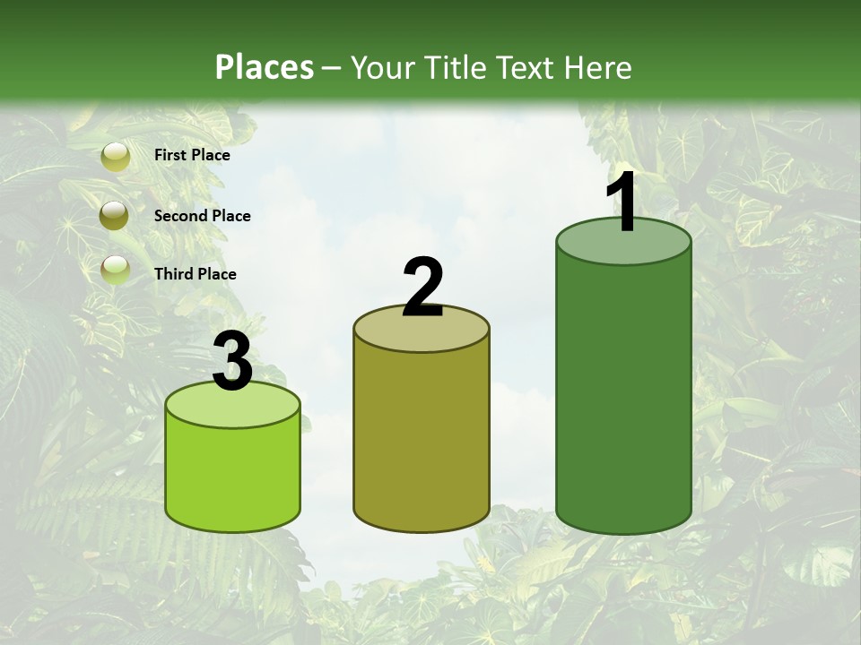 Answer Jungle Brain PowerPoint Template