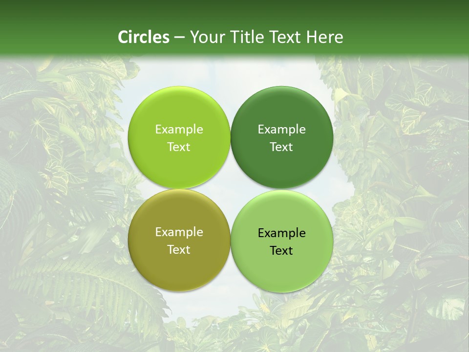 Answer Jungle Brain PowerPoint Template