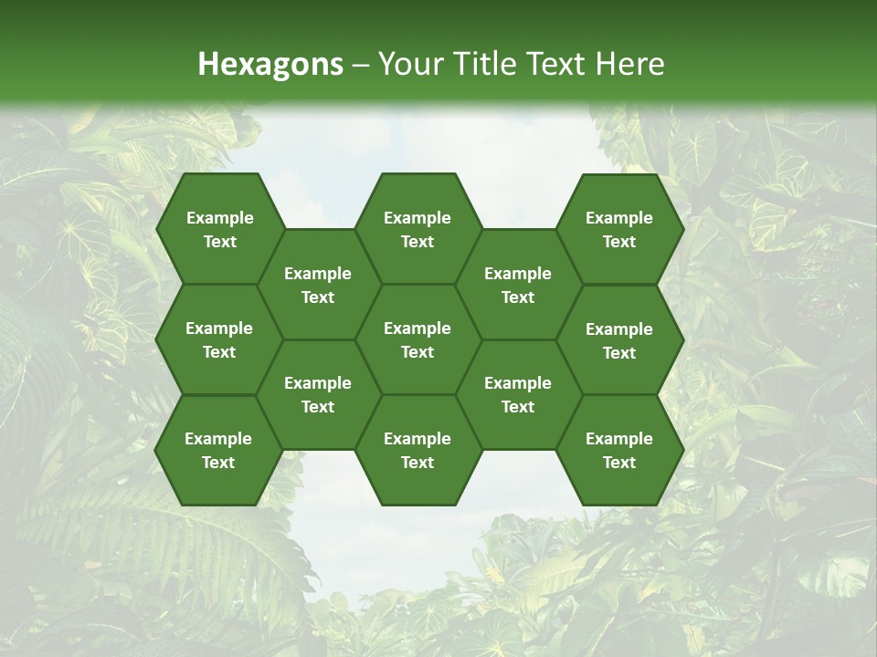 Answer Jungle Brain PowerPoint Template