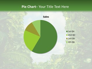 Answer Jungle Brain PowerPoint Template