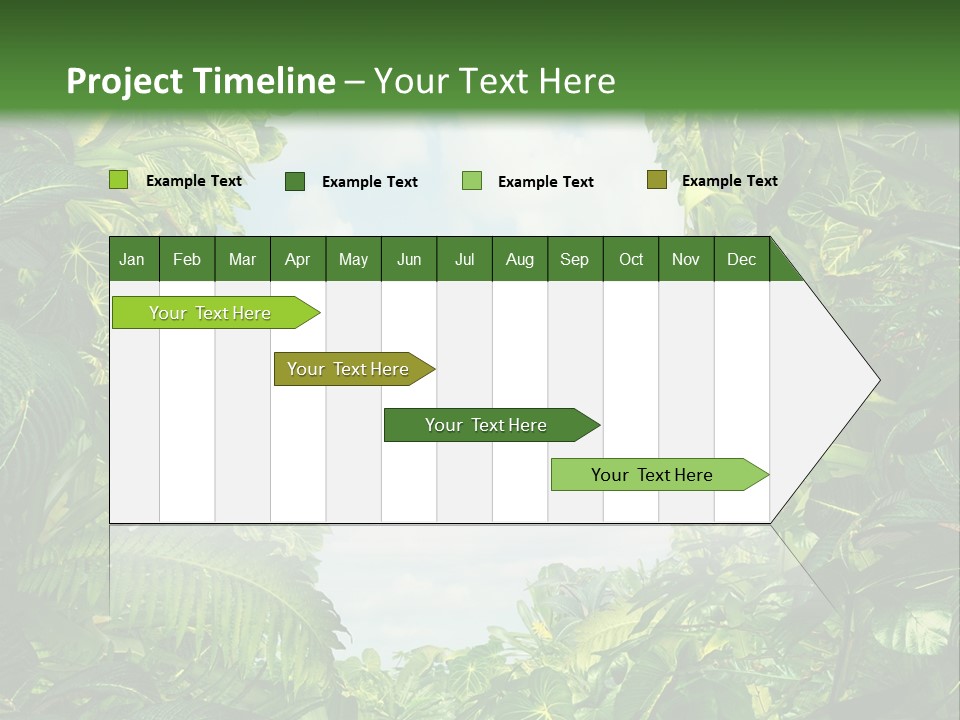 Answer Jungle Brain PowerPoint Template