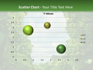 Answer Jungle Brain PowerPoint Template