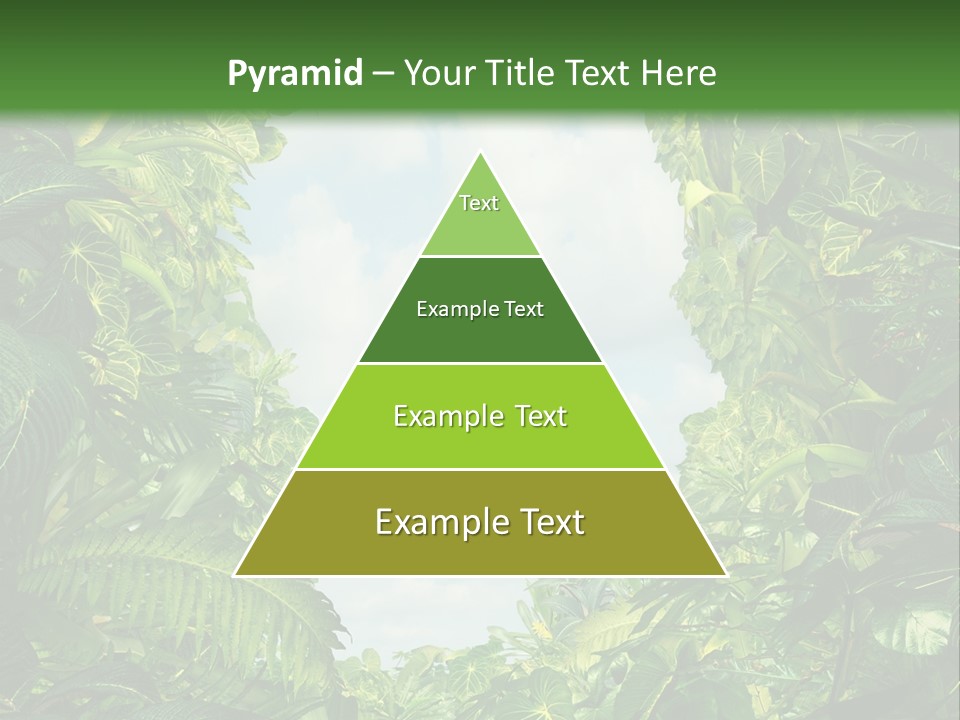 Answer Jungle Brain PowerPoint Template