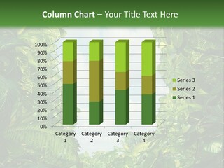 Answer Jungle Brain PowerPoint Template