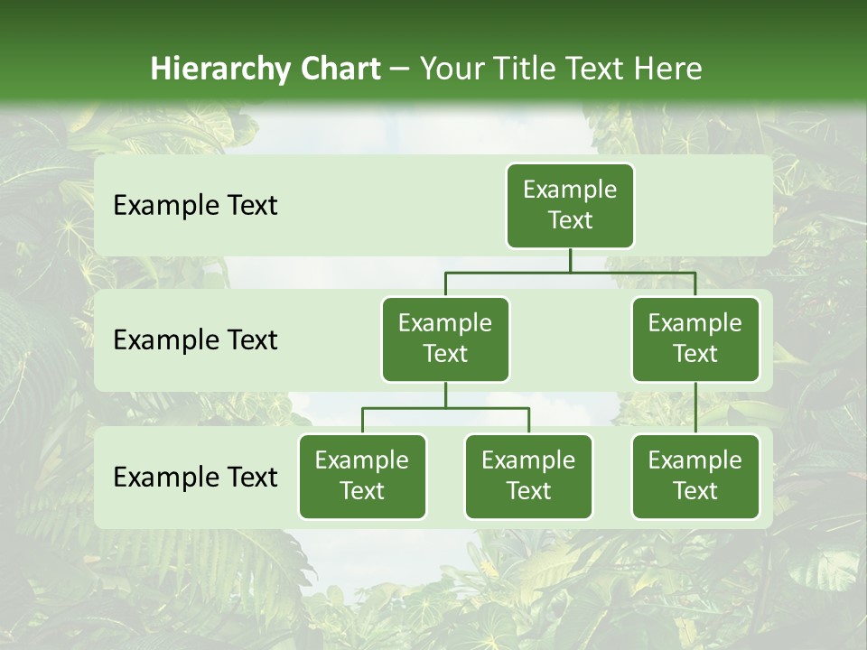 Answer Jungle Brain PowerPoint Template