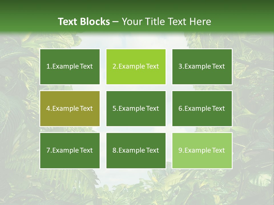Answer Jungle Brain PowerPoint Template