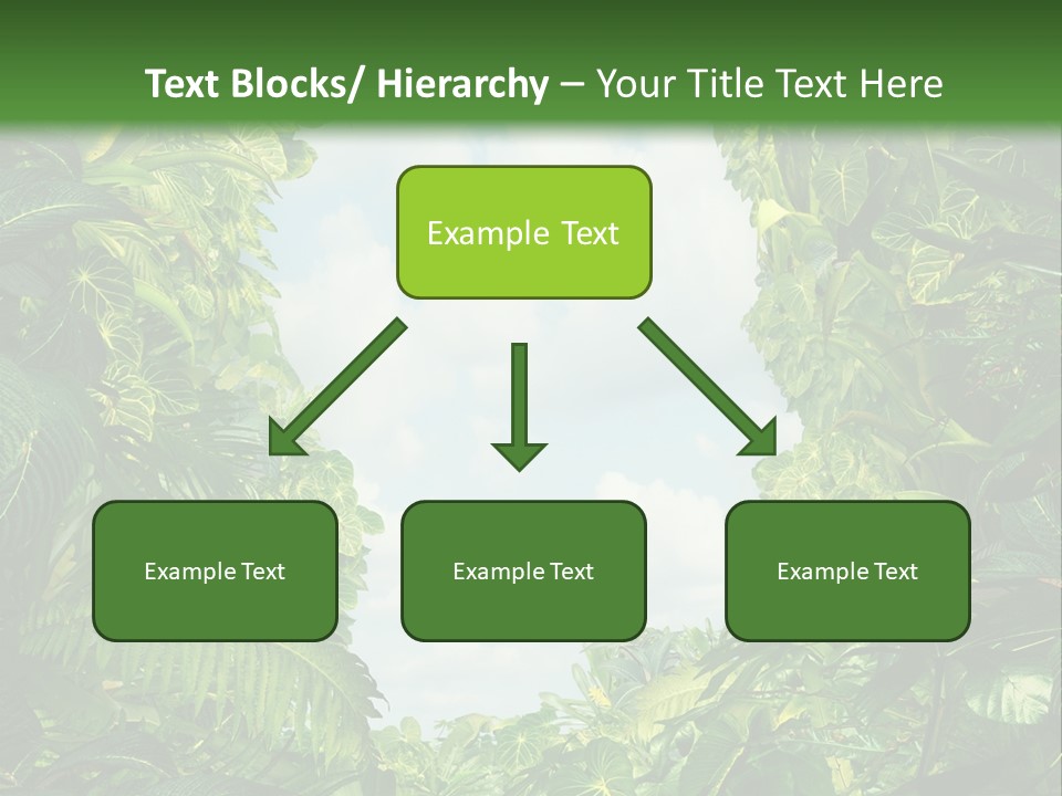 Answer Jungle Brain PowerPoint Template