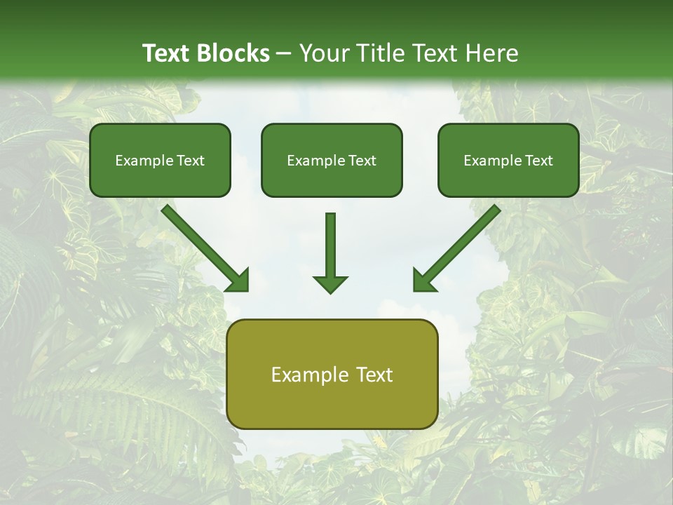 Answer Jungle Brain PowerPoint Template