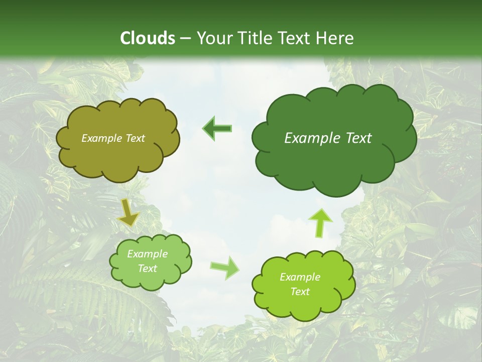 Answer Jungle Brain PowerPoint Template