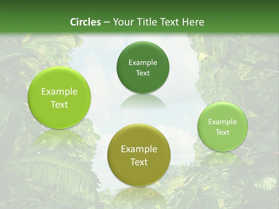 Answer Jungle Brain PowerPoint Template