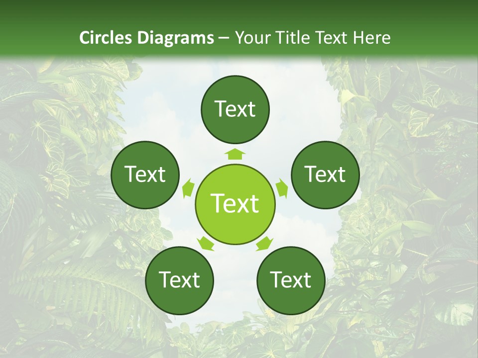 Answer Jungle Brain PowerPoint Template