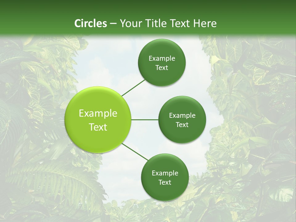 Answer Jungle Brain PowerPoint Template