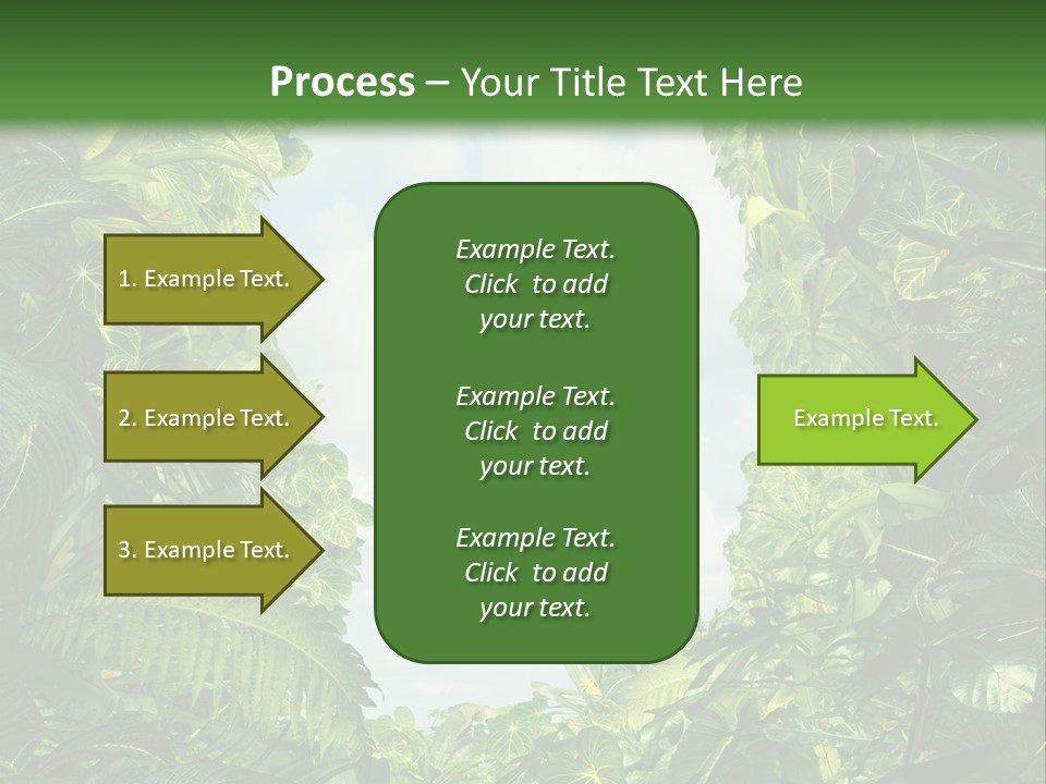 Answer Jungle Brain PowerPoint Template