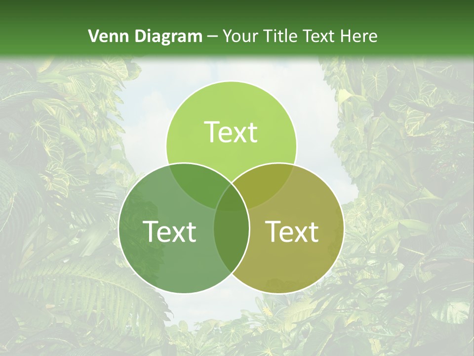 Answer Jungle Brain PowerPoint Template