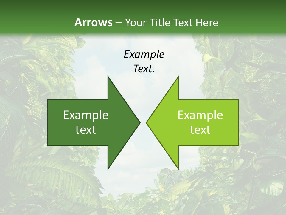 Answer Jungle Brain PowerPoint Template