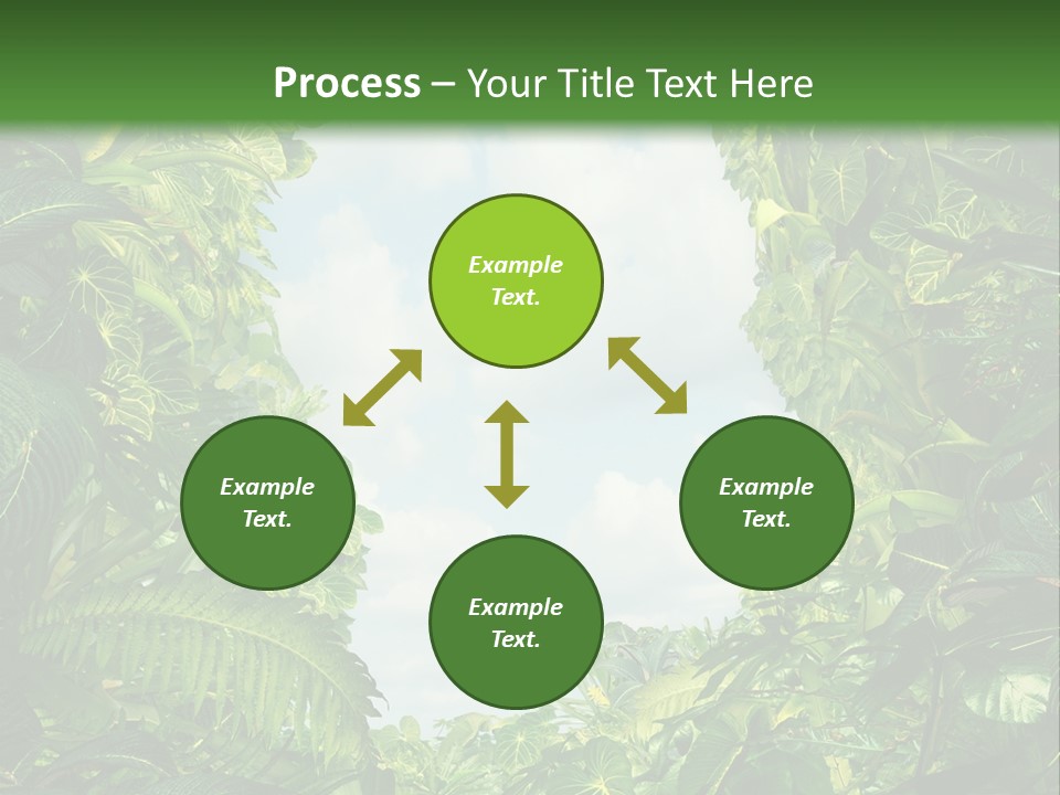 Answer Jungle Brain PowerPoint Template