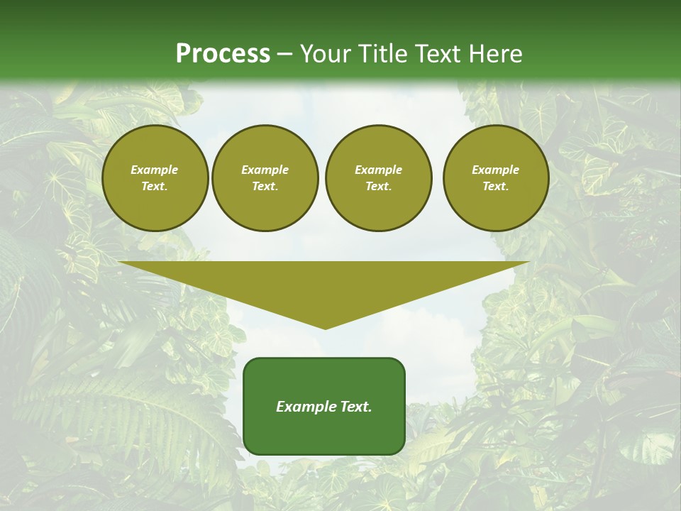 Answer Jungle Brain PowerPoint Template