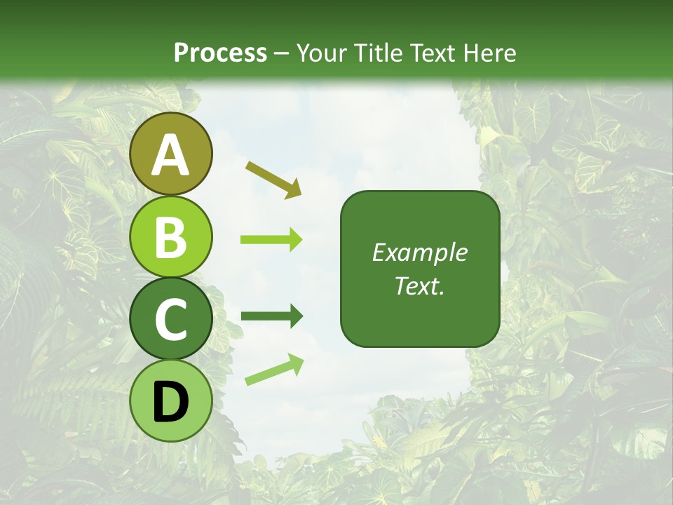 Answer Jungle Brain PowerPoint Template
