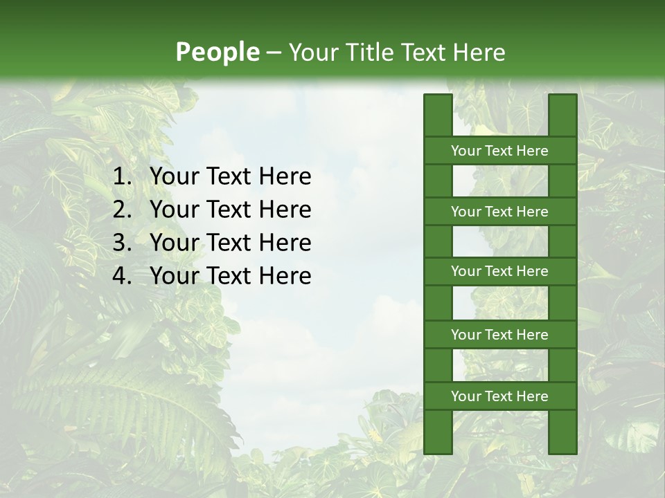 Answer Jungle Brain PowerPoint Template