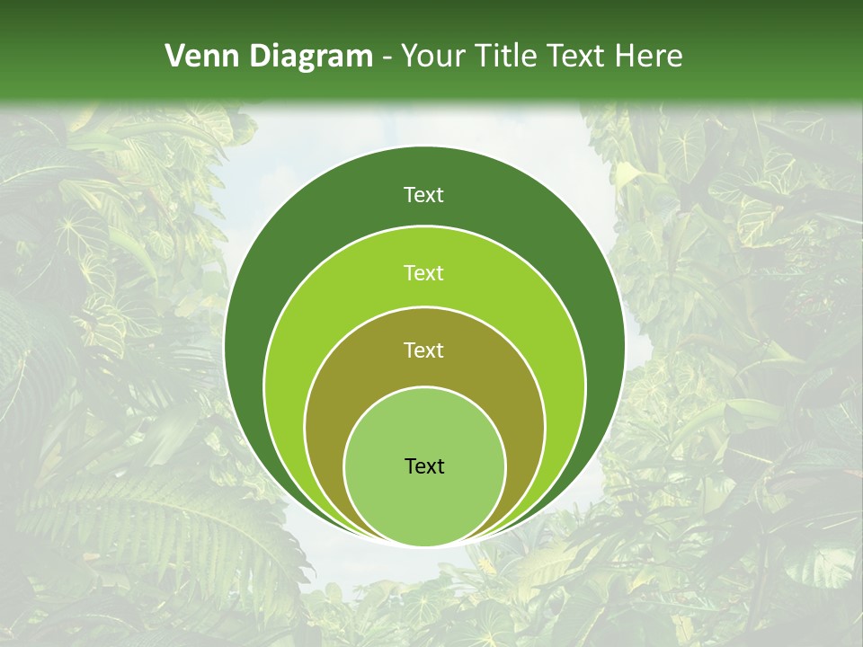 Answer Jungle Brain PowerPoint Template