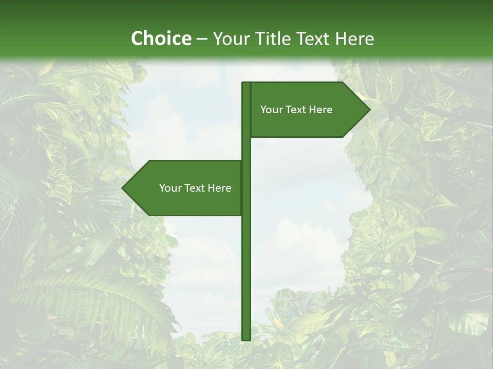 Answer Jungle Brain PowerPoint Template