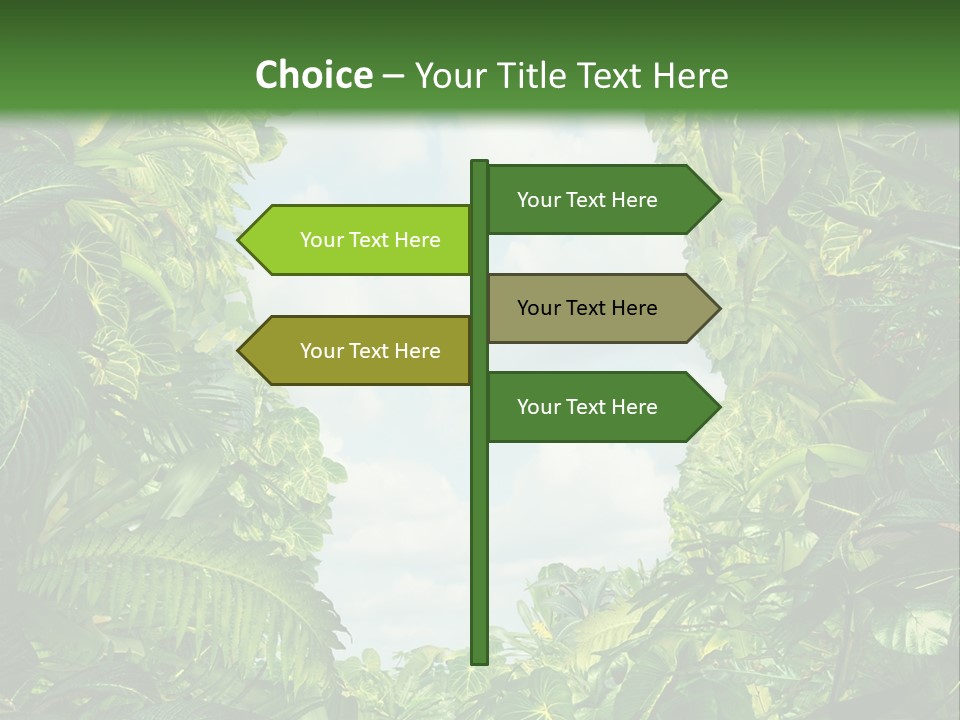 Answer Jungle Brain PowerPoint Template
